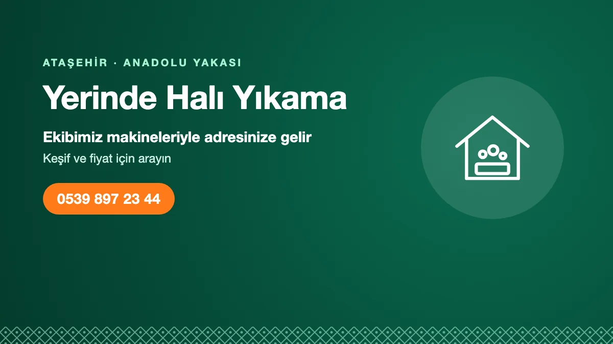 Ataşehir yerinde halı yıkama